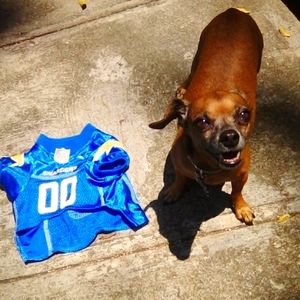 🐕 CHARGER JERSEY .NFL . size Small.